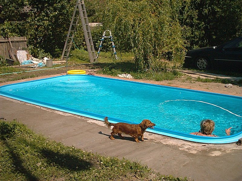 147.jpg