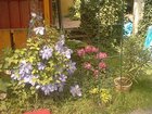 051.jpg