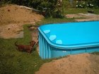 060.jpg