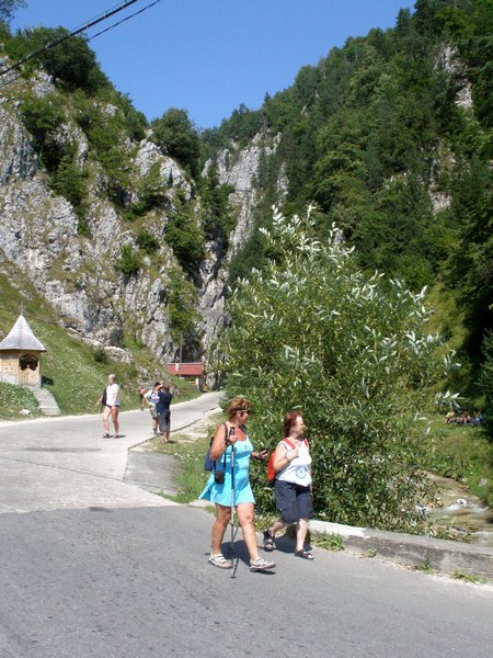 bucegi_piatra_craiului_1_155.jpg