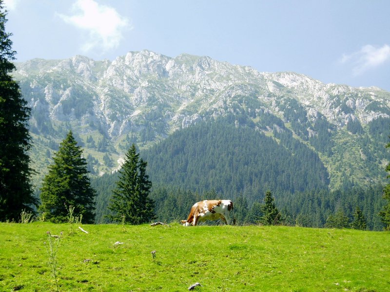 bucegi_piatra_craiului_2_006.jpg