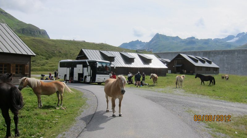 silvreta_143.jpg