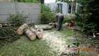 dsc00025.jpg