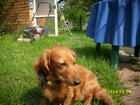 img_1199.jpg