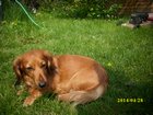 img_1204.jpg