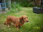 img_1254.jpg