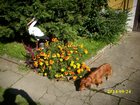 img_1633.jpg