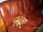 img_1821.jpg