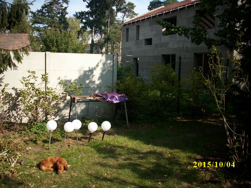 img_2537.jpg