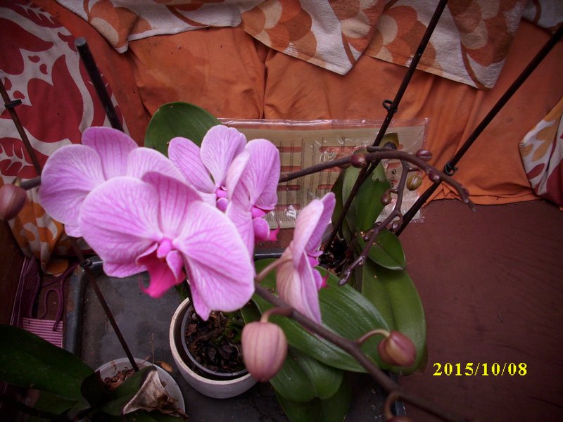 img_2544.jpg