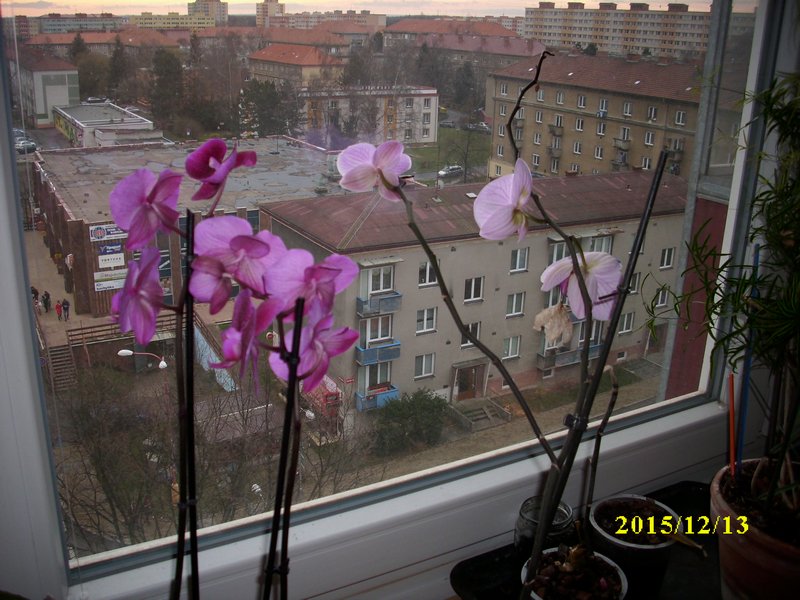 img_2636.jpg