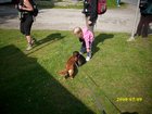 img_1082.jpg