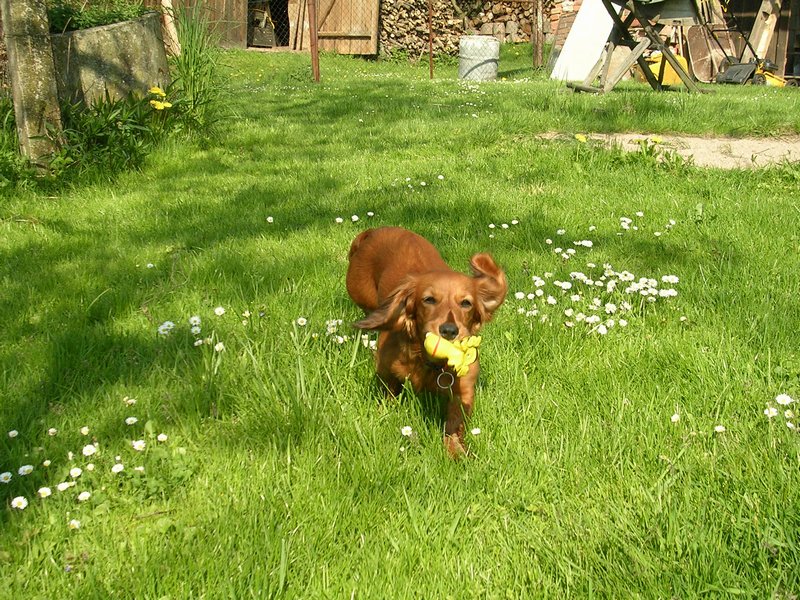 dscn3308.jpg