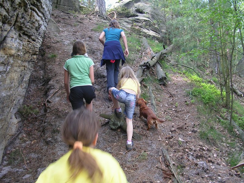 dscn3354.jpg