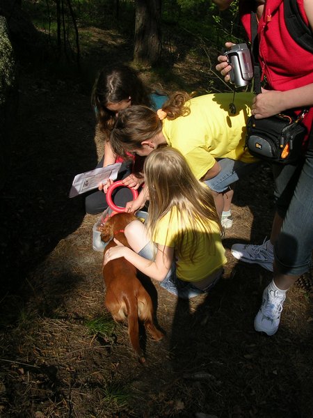 dscn3359.jpg