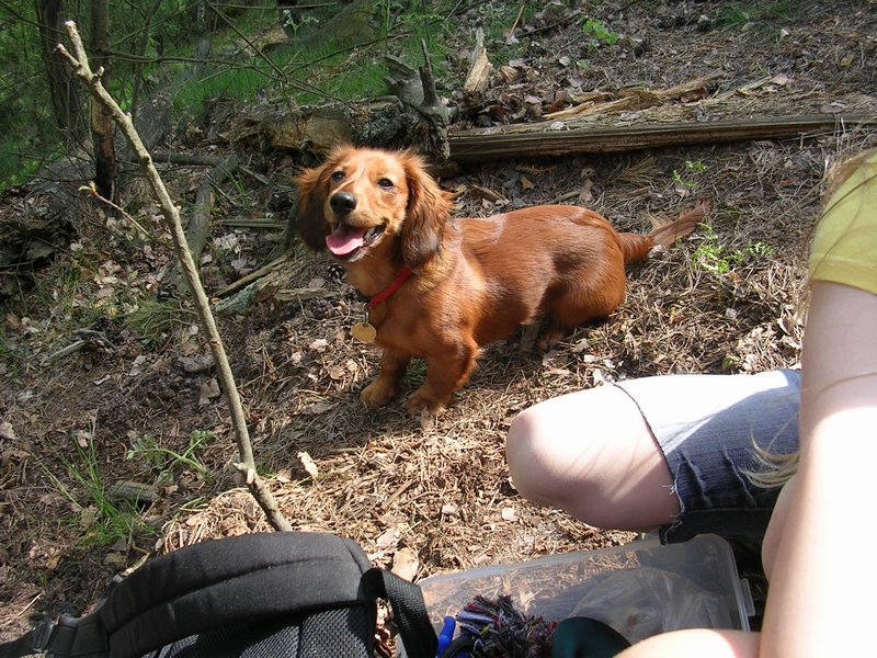 dscn3368.jpg