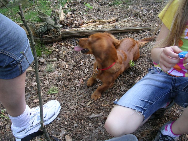 dscn3371.jpg