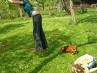 dscn3339.jpg