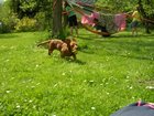 dscn3341.jpg