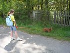 dscn3343.jpg