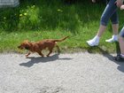 dscn3344.jpg