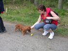 dscn3347.jpg