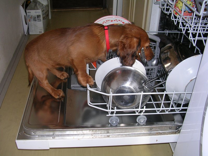 dscn3080.jpg