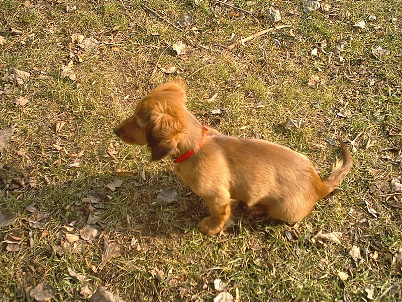 im002507.jpg