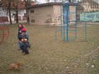 im002489.jpg